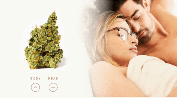 Weed Products For Every Type of Lover