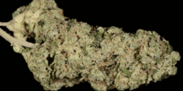420 Weed Reviews: The Larry OG