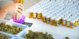 Swiss Cannabis Farm Seeks European Expansion