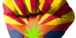 Arizona is Now One of the Medical Marijuana States that Will Honor Out-of-State Card Holders