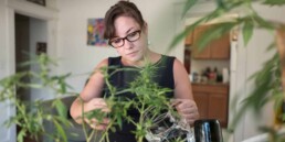 Growing Marijuana In Your Apartment