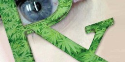 How Cannabis Can Help Treat Glaucoma, marijuana news