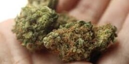 There May Not be a Single Adult-Use Cannabis Dispensary Open in Massachusetts Come July 1, marijuana news