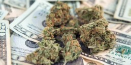 MA Cannabis Sales Surpass $2M In 5 Days, legal weed, legal cannabis, legal marijuana, legal pot